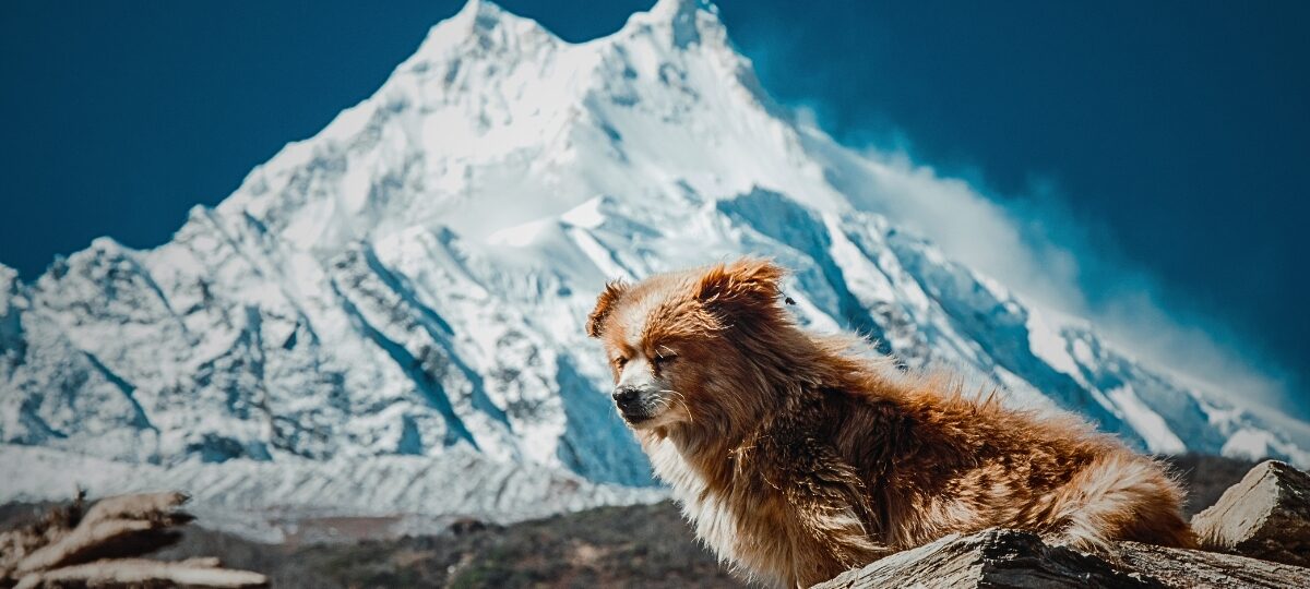 Manaslu Circuit trek
