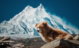 Manaslu Circuit trek