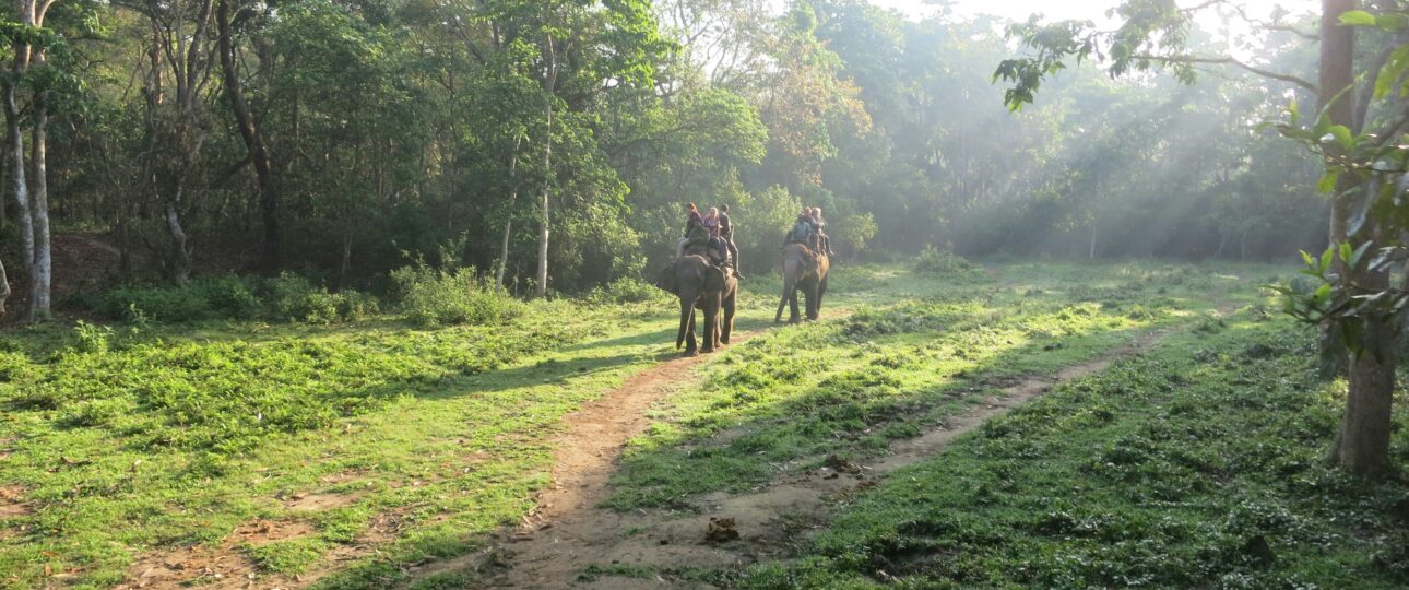 chitwan