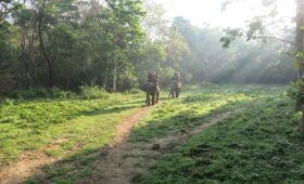 chitwan
